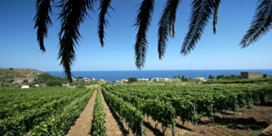 Malvasia delle Lipari, Isole Eolie