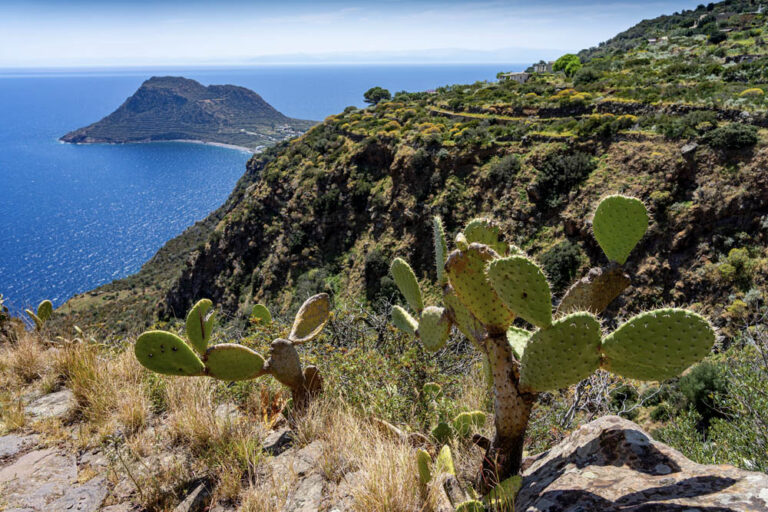 filicudi in barca a vela